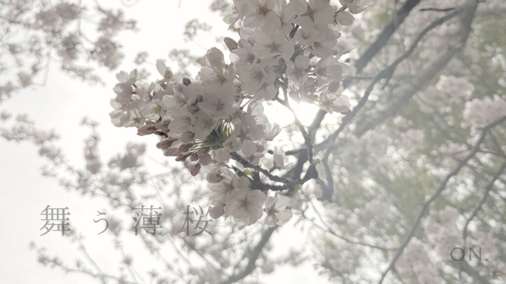 no.004舞う薄桜