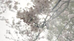 no.004舞う薄桜